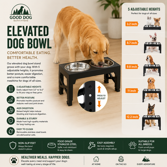 Good Dog Elevated Dog Bowl