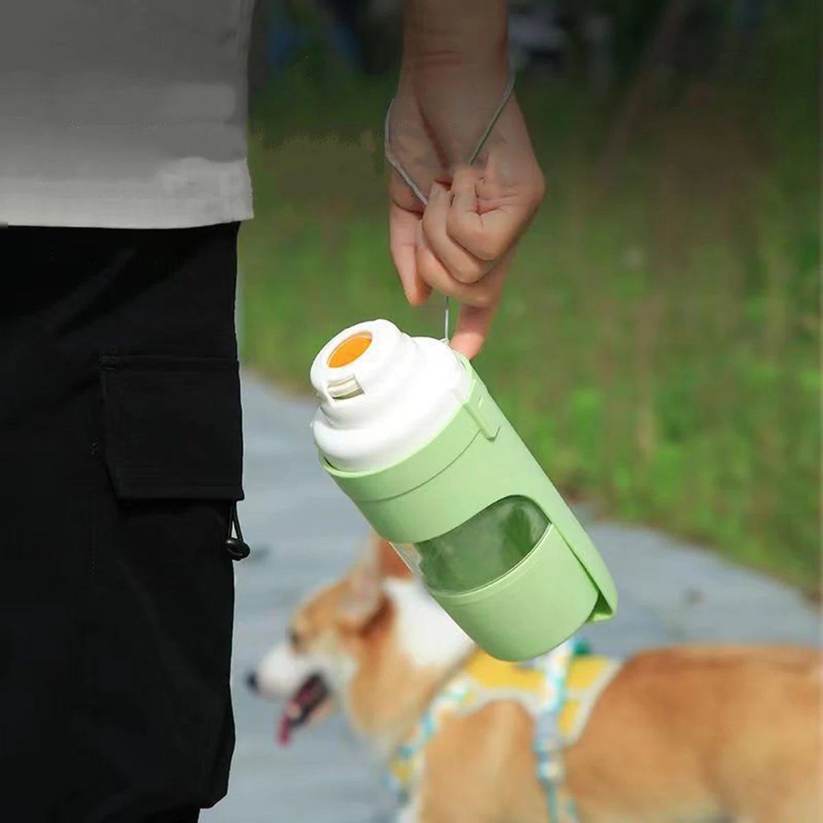 Good Dog Adventure Bottle