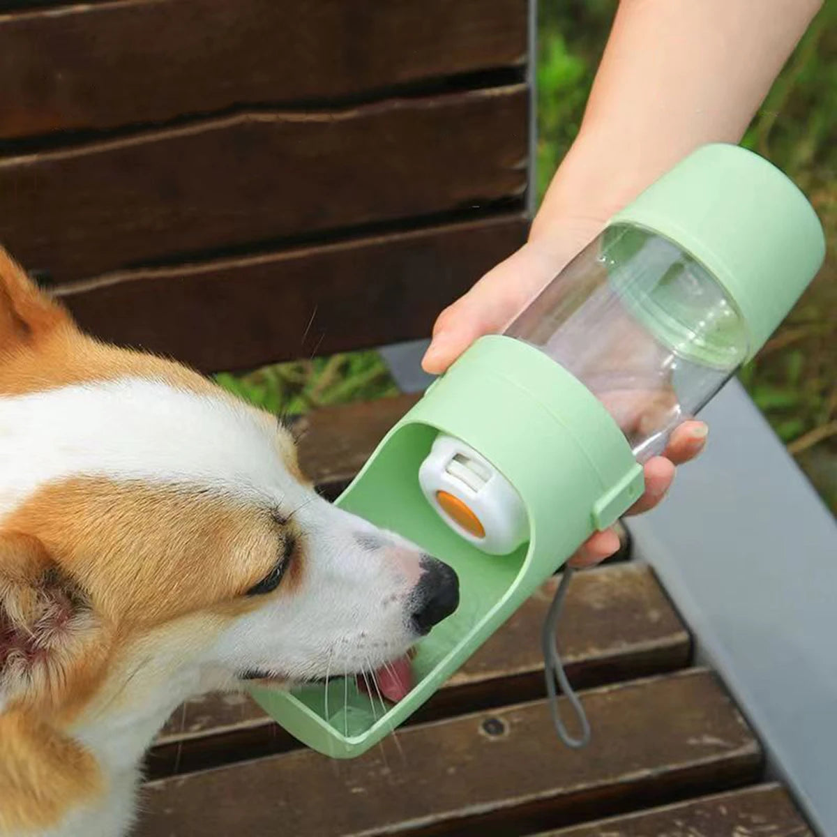 Good Dog Adventure Bottle