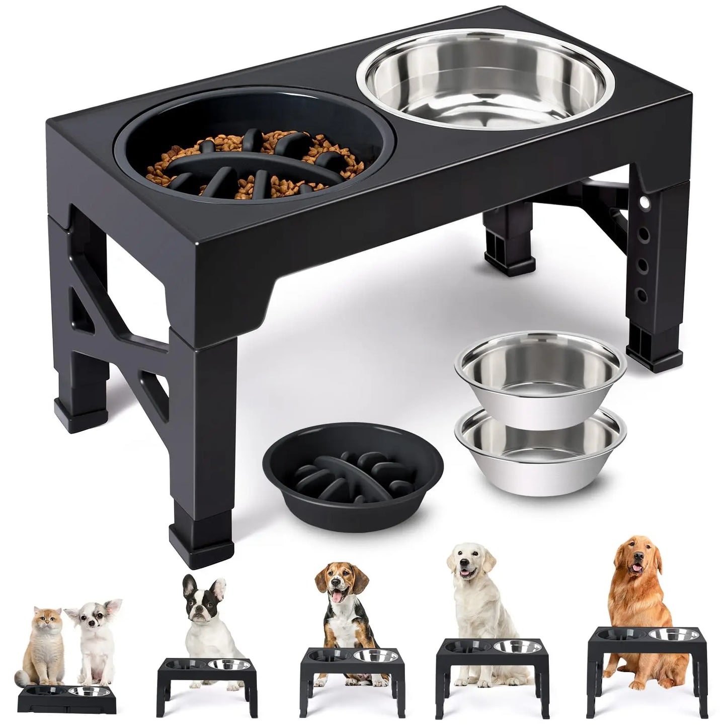 Good Dog Elevated Dog Bowl